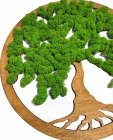 Strom na stenu z machu Tinker 60 cm