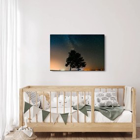 Obraz nočnej oblohy so stromami (90x60 cm)