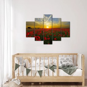 braz poľa vlčích makov (150x105 cm)