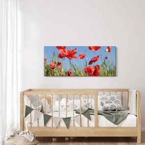 Obraz - Vlčie maky (120x50 cm)