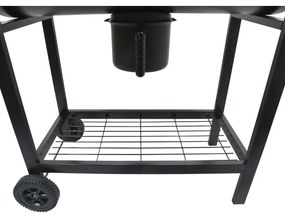 Gril na drevené uhlie čierna/drevo