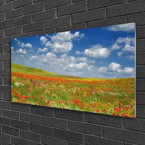 Obraz na skle Lúka kvety príroda 125x50 cm