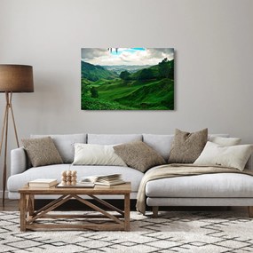 Obraz - Čajové plantáže v Malajzii (90x60 cm)