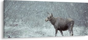 Obraz - Los v zasneženom lese (120x50 cm)