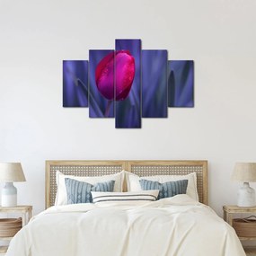 Obraz pupete tulipánu (150x105 cm)