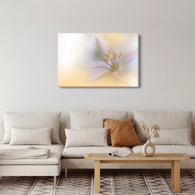 Obraz - Jemný kvet (90x60 cm)