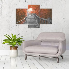 Obraz - Schody v prírode, oranžová (90x60 cm)