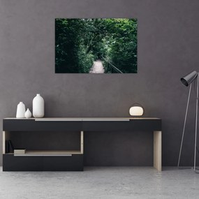 Obraz - Cesta lesom (90x60 cm)
