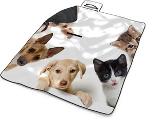 Sablio Plážová deka Šteniatka a mačiatka: 200x140 cm