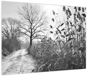 Sklenený obraz - Pole v zime (70x50 cm)