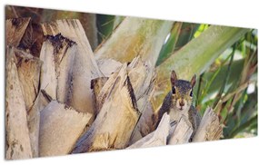 Obraz veveričky na strome (120x50 cm)