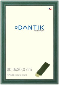 DANTIK rám na obraz 20x30 | NPINO zelená (Sklo Čiré)