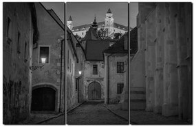 Obraz na plátne - Bratislava staré mesto s hradom vzadu 1265QB (90x60 cm  )