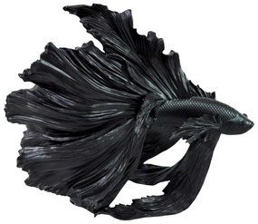 Ozdobná rybka Crowntail 35cm čierna