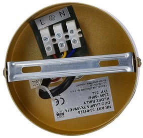 Závesné svietidlo v zlatej farbe so skleneným tienidlom 32.5x32.5 cm Duo - Candellux Lighting