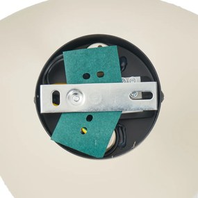 Dizajnové nástenné svietidlo béžové organické 20 cm 2-svetlá - Pulley