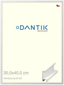 DANTIK rám na obraz 30x40 | ALU Dýha bílá (Plexi Čiré)