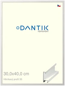 DANTIK rám na obraz 30x40 | ALU Dýha bílá (Plexi Čiré)
