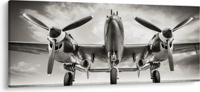 Obraz - Warbird (120x50 cm)