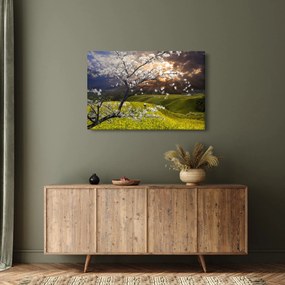 Obraz - Rozkvitnutý strom v krajine (90x60 cm)