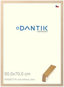 DANTIK rám na obraz 50x70 | KASSETTE dub bělený (Plexi Čiré)