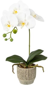 Gasper Umelý kvet Orchidea v keramickom kvetináči 36 cm, biela