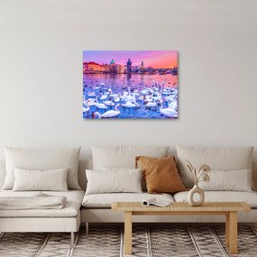 Obraz - Praha (70x50 cm)