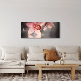 Obraz - Kvety a motýľ (120x50 cm)