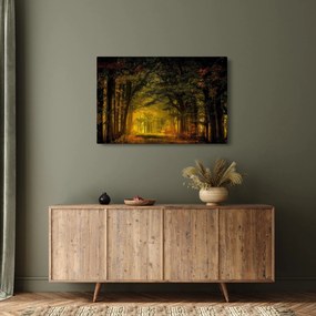 Obraz lesu (90x60 cm)