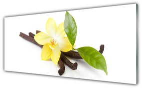 Obraz plexi Vanilka listy rastlina 125x50 cm