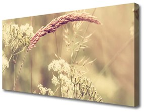 Obraz Canvas Divoké rastliny príroda 100x50 cm