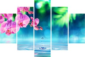Obraz - Orchidea (150x105 cm)