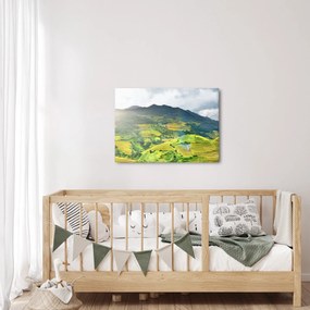 Obraz plantáže (70x50 cm)