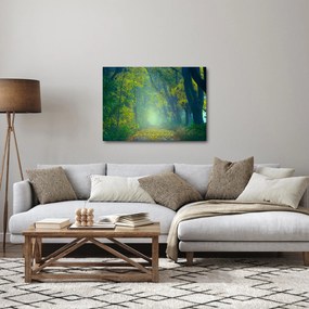 Obraz cesty lemovanej stromami (70x50 cm)