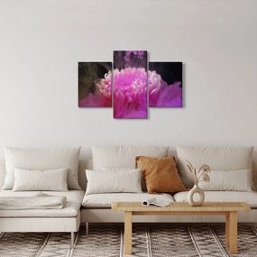 Obraz kvetiny v ružovom dyme (90x60 cm)