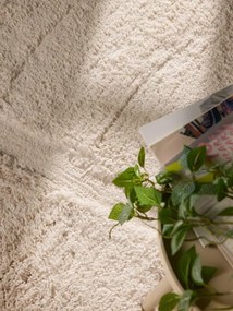 Koberec Ted Baker Lambeth krémový kruh