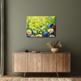 Obraz rozkvitnutej lúky, olejomaľba (70x50 cm)