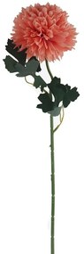 chryzantéma ružová X5787-07