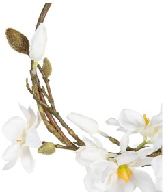 Veniec Magnolia – Ixia