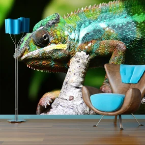 Sablio Tapeta Chameleón - 208x125 cm