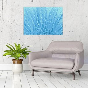 Sklenený obraz - Makro záber kvetu (70x50 cm)