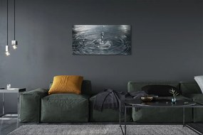 Obraz canvas pokles striekajúcej vode 120x60 cm