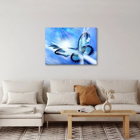 Obraz - Motýľ, symbol nádeje (70x50 cm)