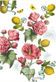 Kuchynské utierky zo zmesi ľanu a bavlny Citrons De Menton Romance, 4 ks