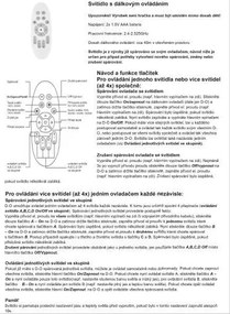 TOP LIGHT Svetlo nástenné-stropné Norman 40C RC, Čierna