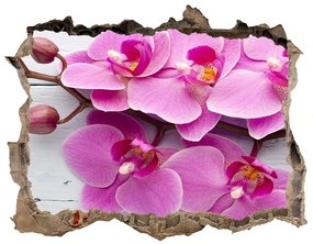 Samolepící nálepka Orchidea na dreve nd-k-118409675