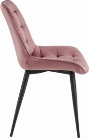 Set dvoch jedálenských stoličiek BERA zamatové ružové / čierne nohy (2 ks)