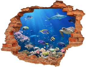 Nálepka 3D diera na stenu Koralový útes nd-c-161347812