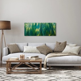 Obraz - Borovicový les (120x50 cm)
