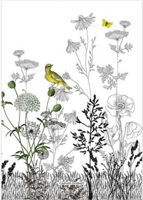 Kuchynské utierky Escapades Printemps, 4 ks